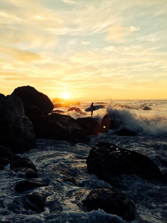 Bazil'S Backpackers Bbh Hostel & Surf School 웨스트포트 객실 사진