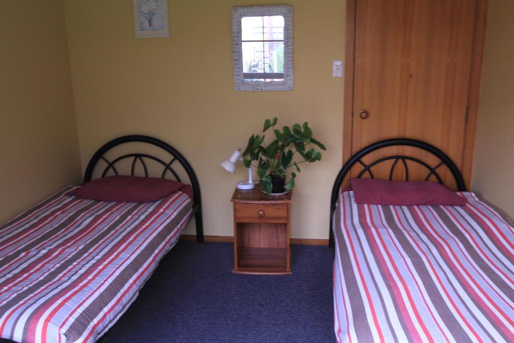 Bazil'S Backpackers Bbh Hostel & Surf School 웨스트포트 객실 사진