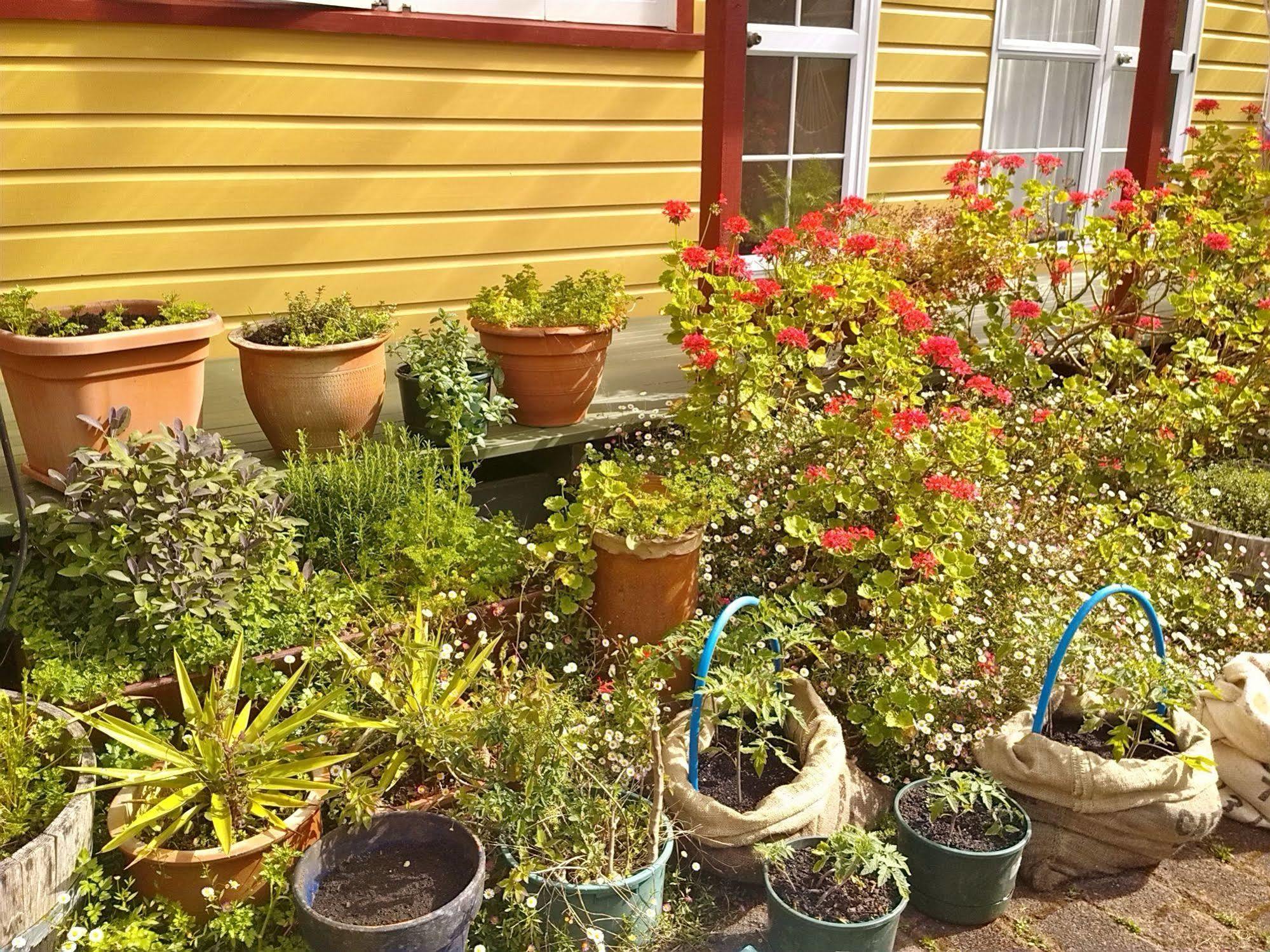 Bazil'S Backpackers Bbh Hostel & Surf School 웨스트포트 외부 사진